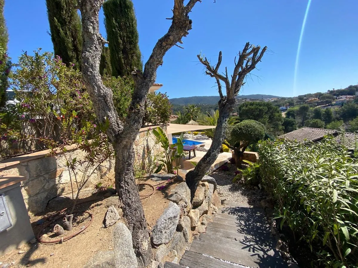 Villa De Oro Calonge  Holiday home Calonge (Catalonia)